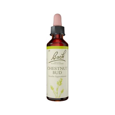 Bach Flower Remedies Chestnut Bud 20ml